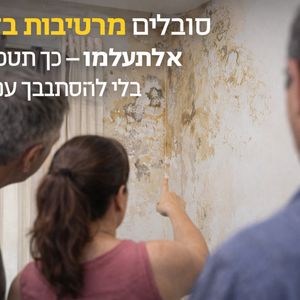 עורך דין מקרקעין / נדל"ן | עו"ד צביקה אשכנזי